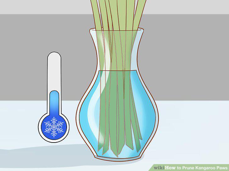 Step 10