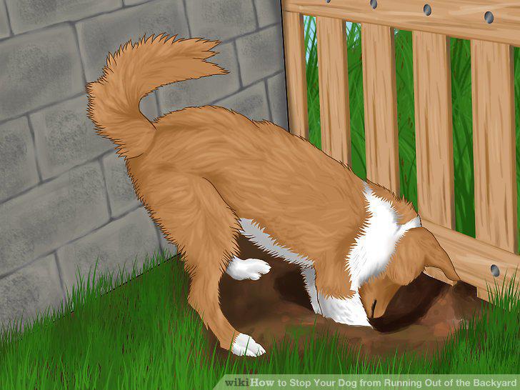 Step 12