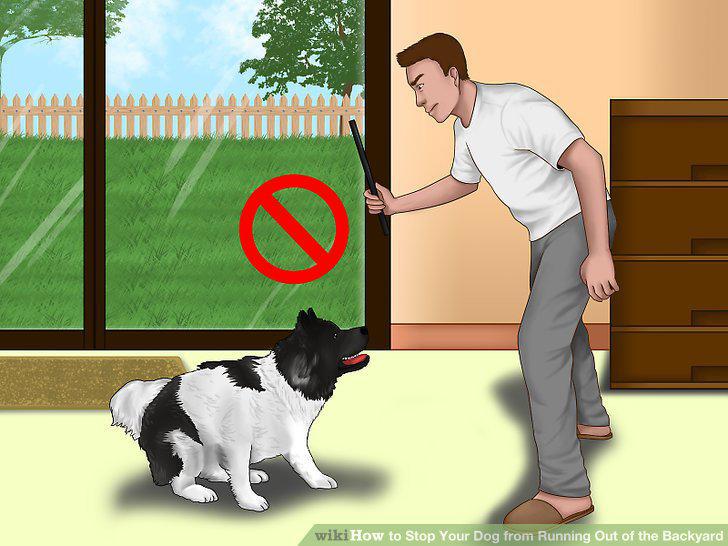 Step 10