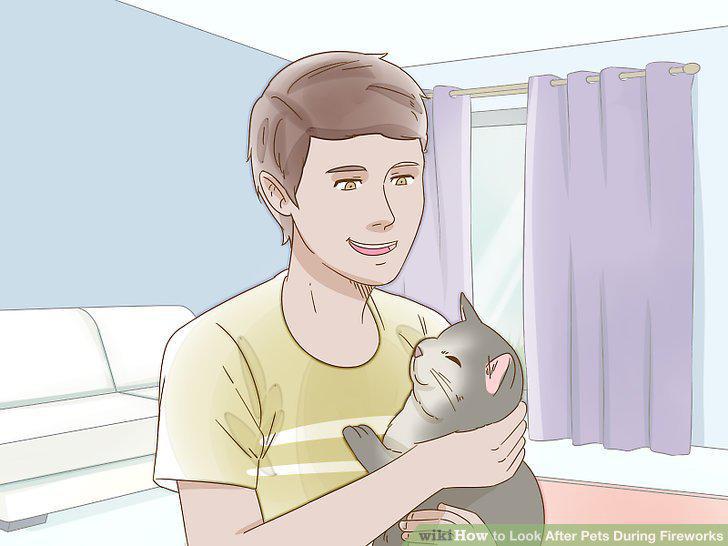 Step 12