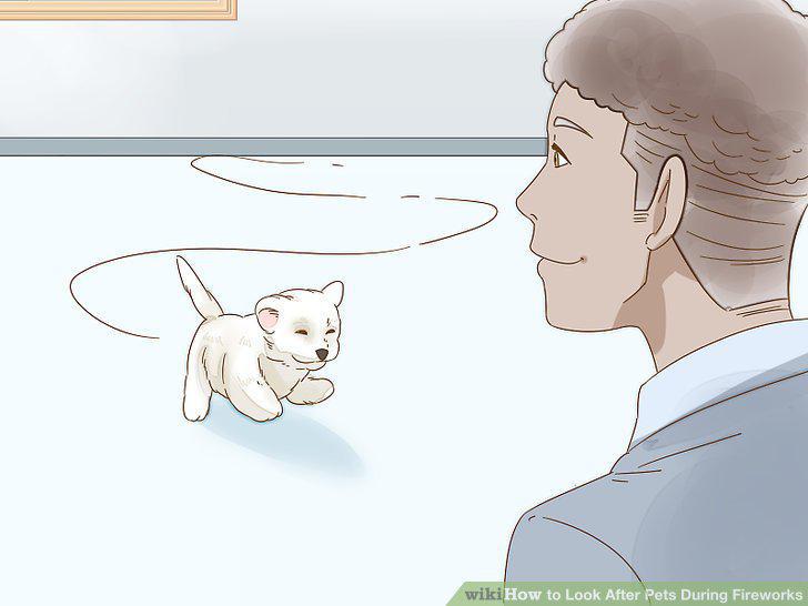 Step 14