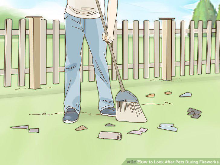 Step 15