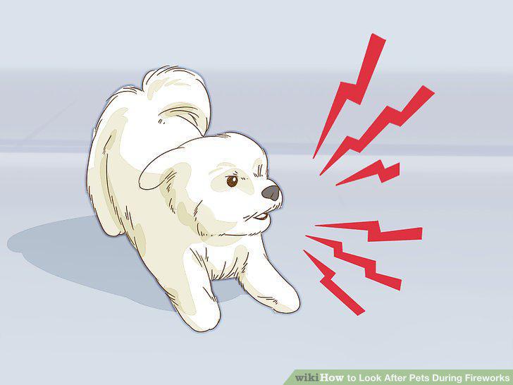 Step 16