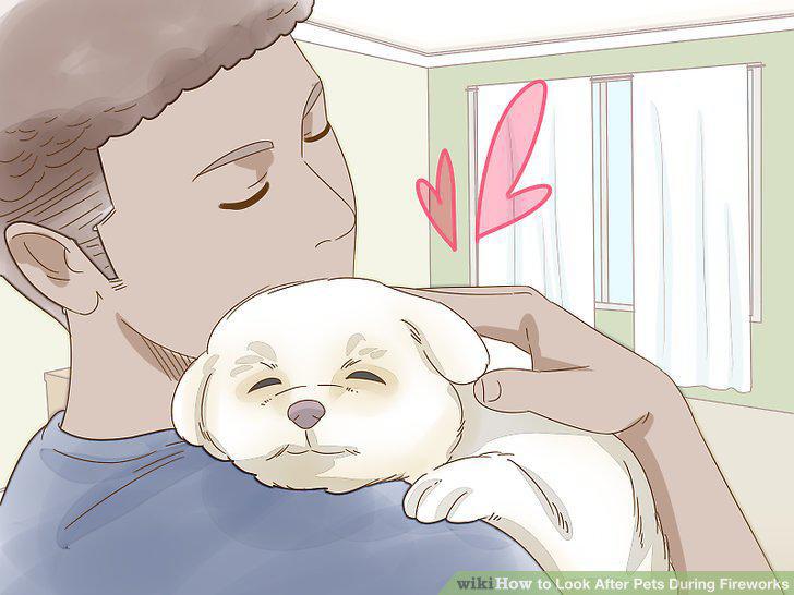 Step 17