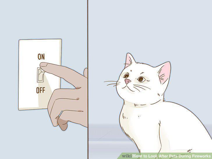 Step 3