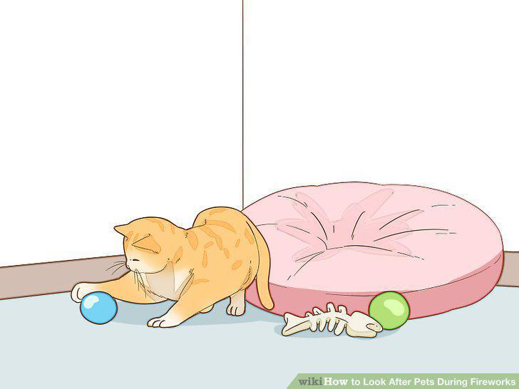 Step 8