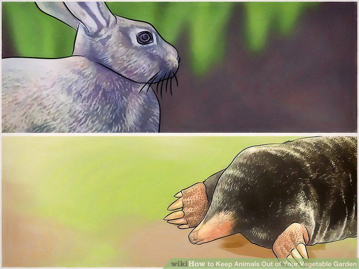 Step 10