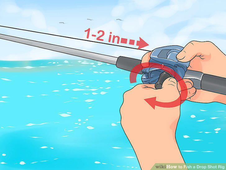 Step 11