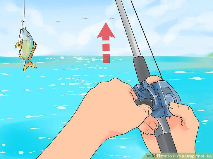 Step 12