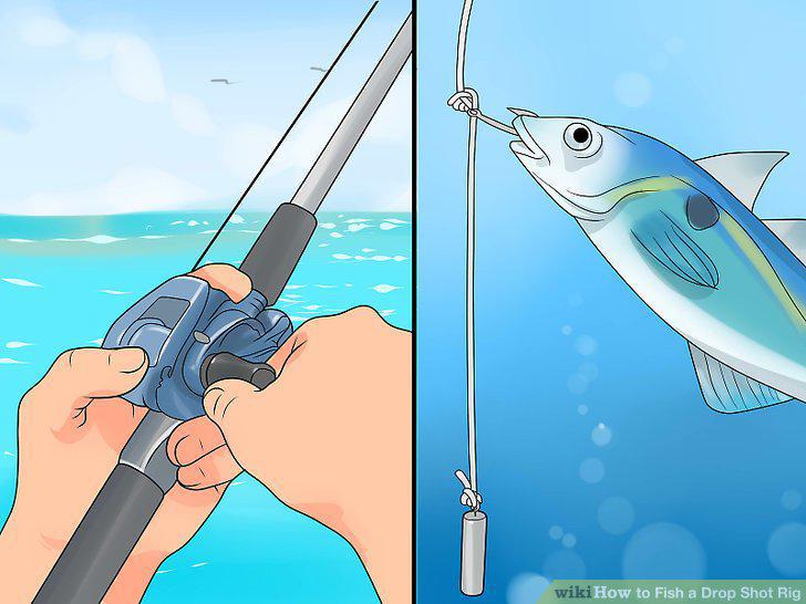 Step 10