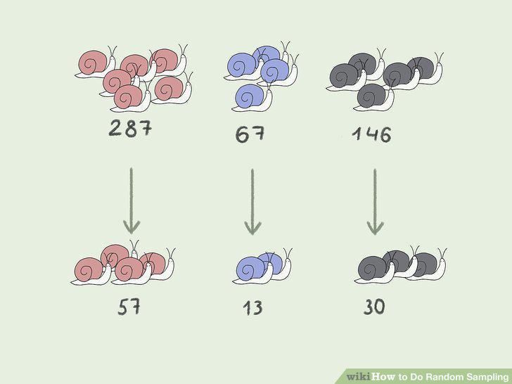 Step 11