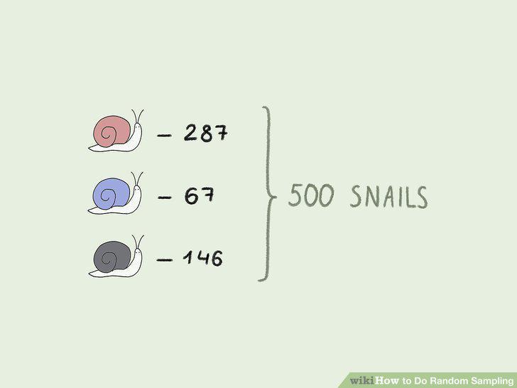 Step 9