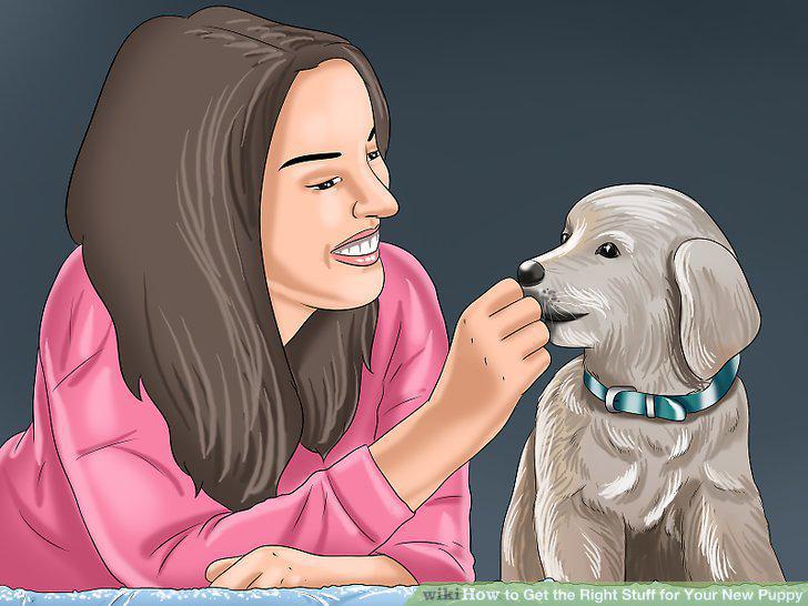 Step 10