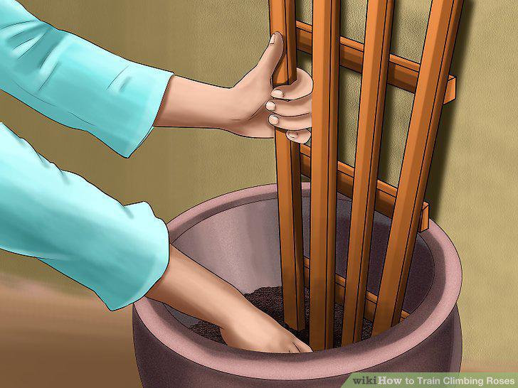 Step 8