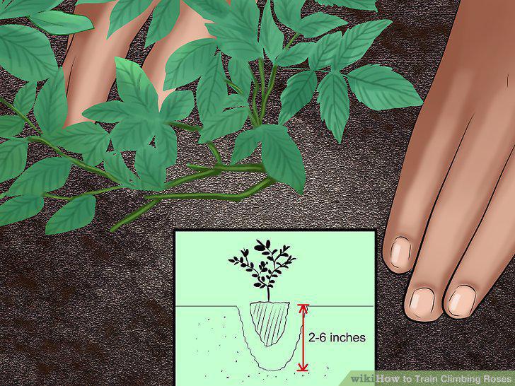 Step 10
