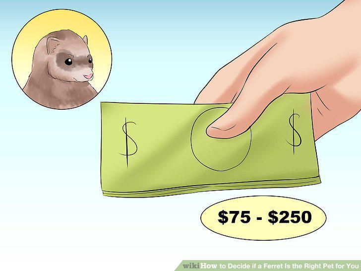 Step 11