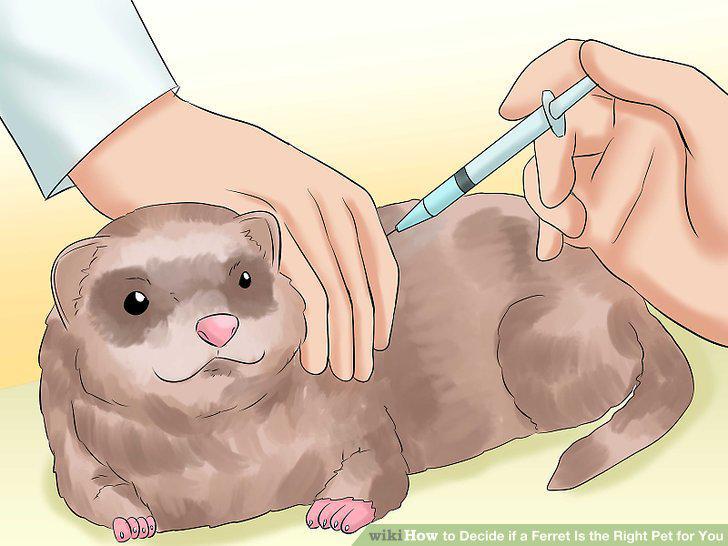 Step 12