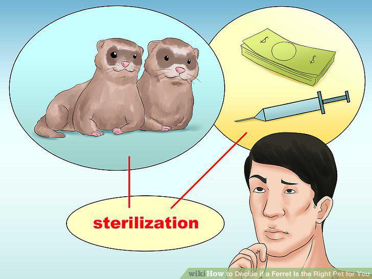 Step 13