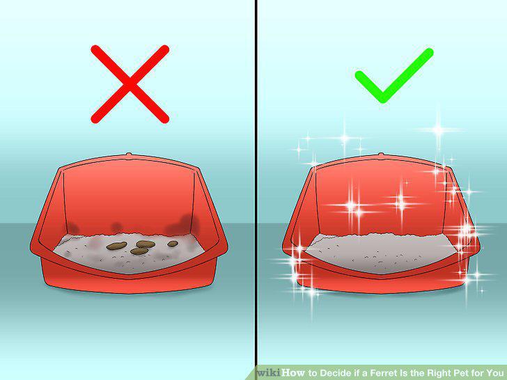 Step 4