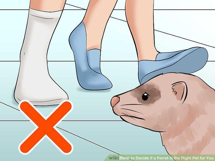 Step 7