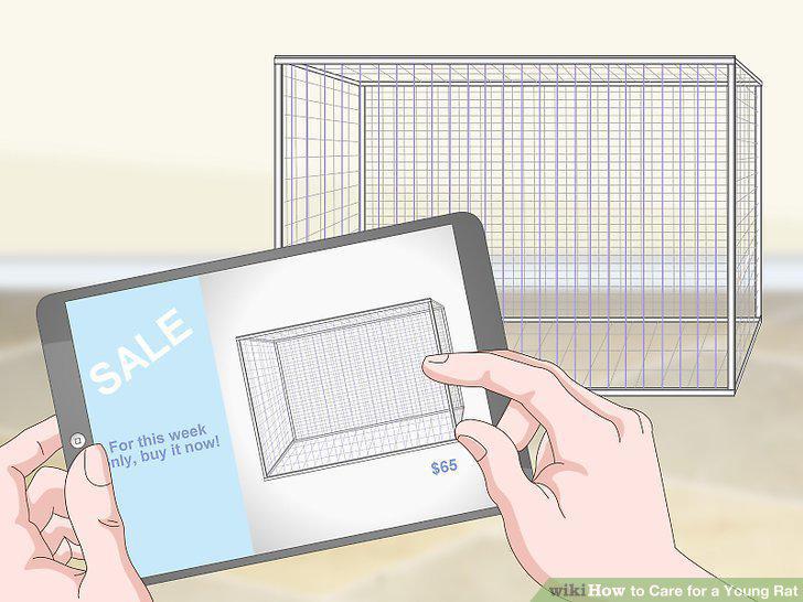 Step 11