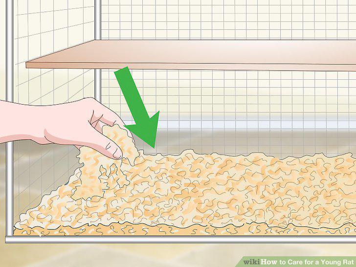 Step 12