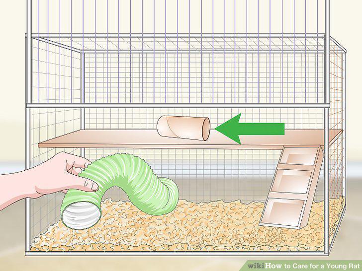 Step 13