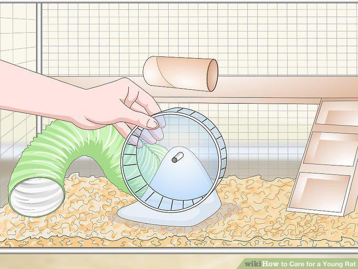 Step 14