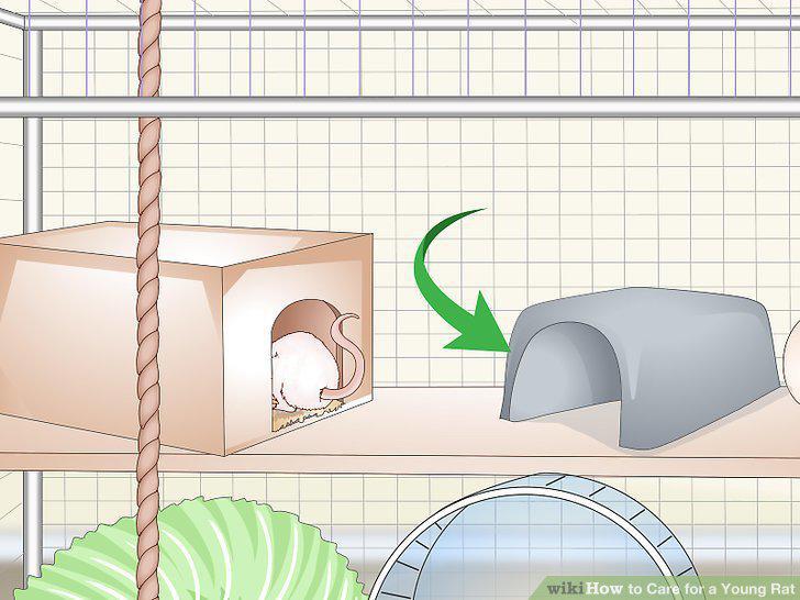 Step 17