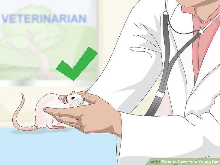 Step 18
