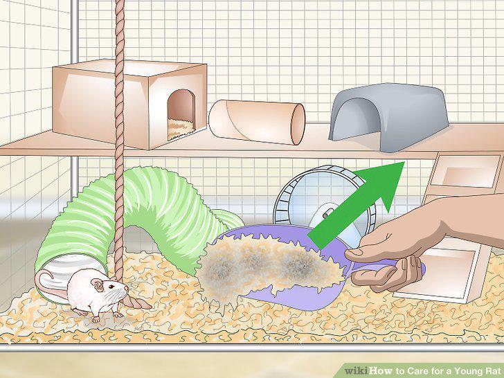 Step 20