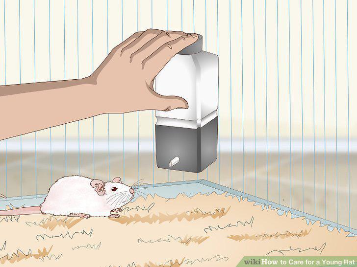 Step 7