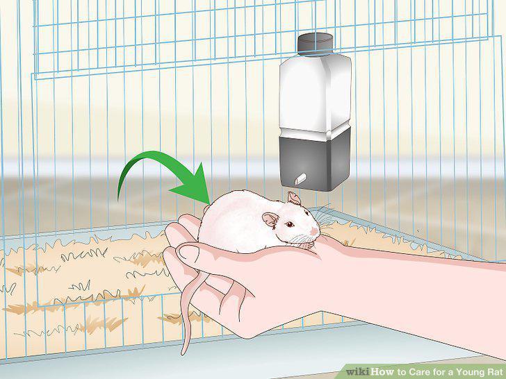 Step 10