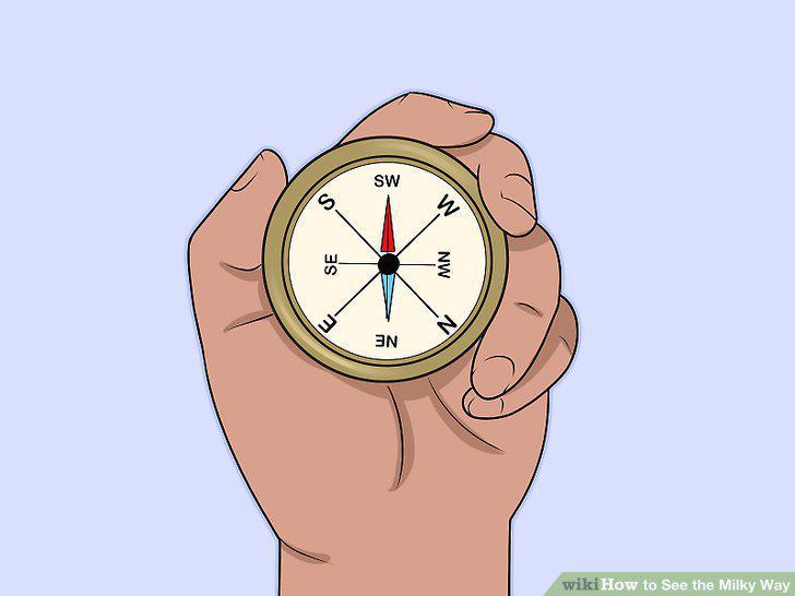 Step 11