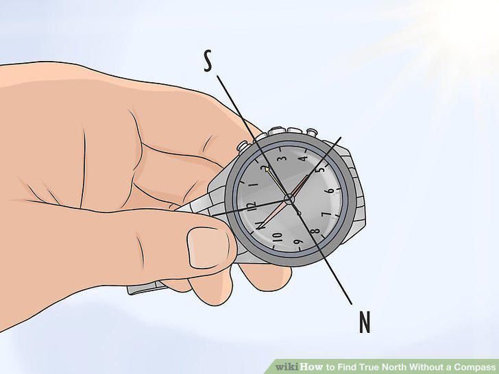 Step 11