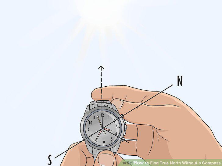 Step 12