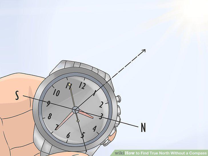 Step 13