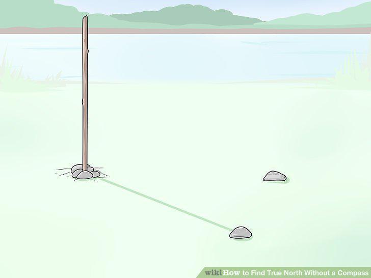 Step 5