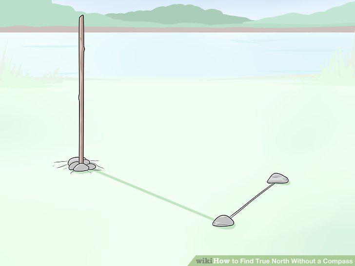 Step 6