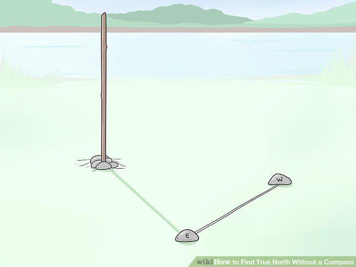 Step 7