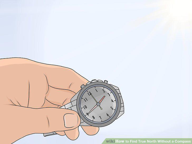 Step 10