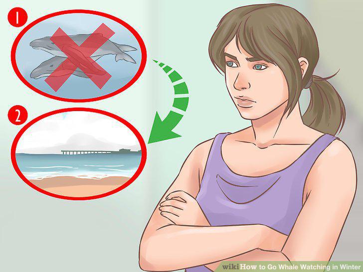 Step 11