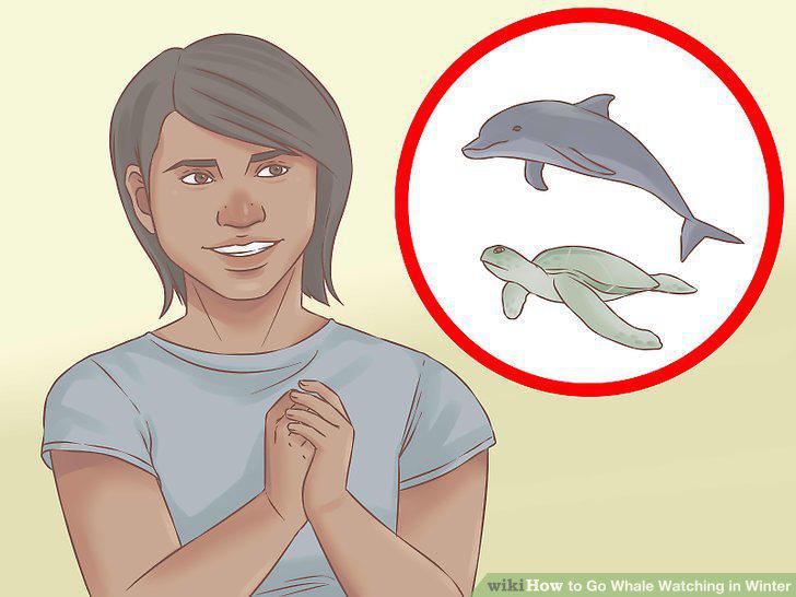 Step 9