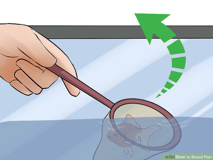 Step 9