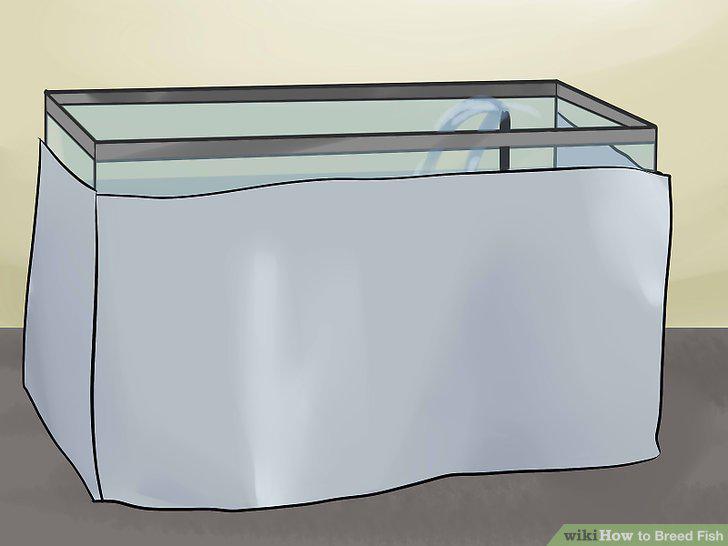 Step 10