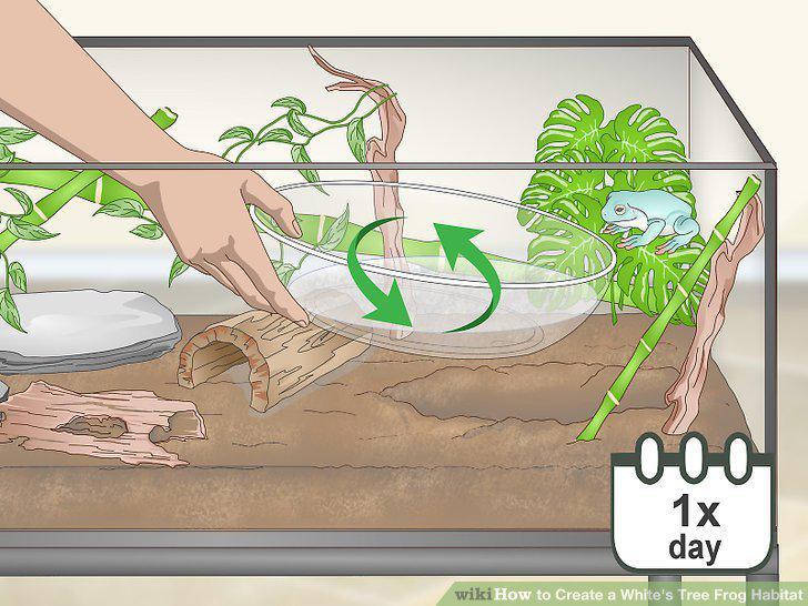 Step 11