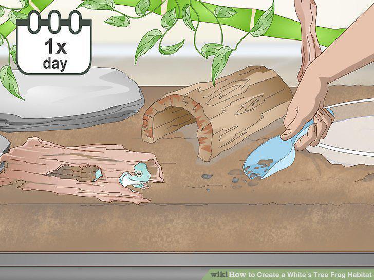 Step 12