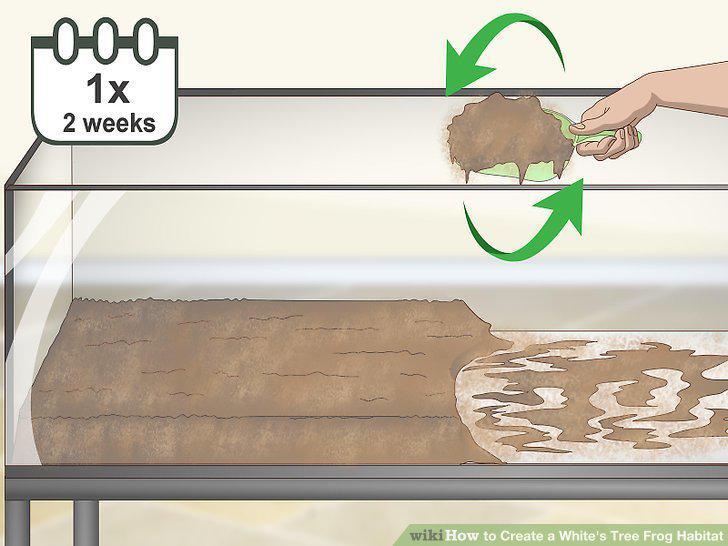 Step 13