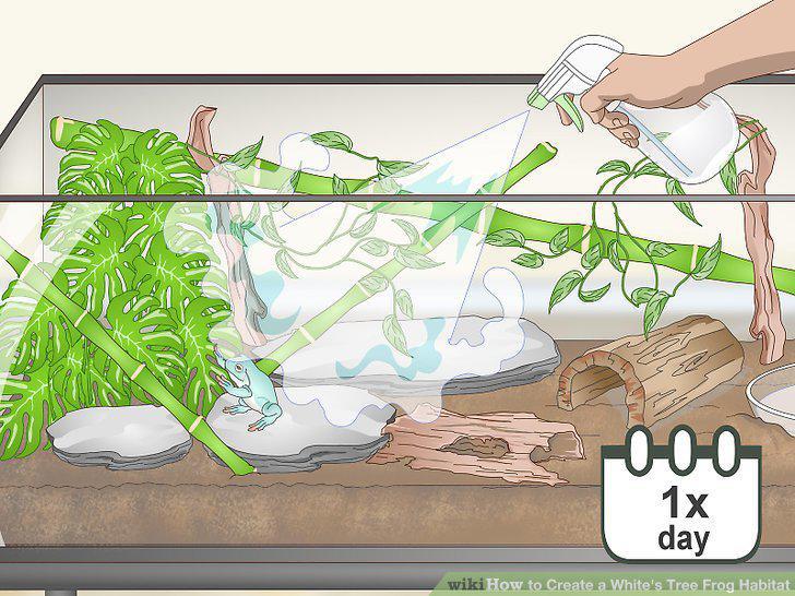 Step 15