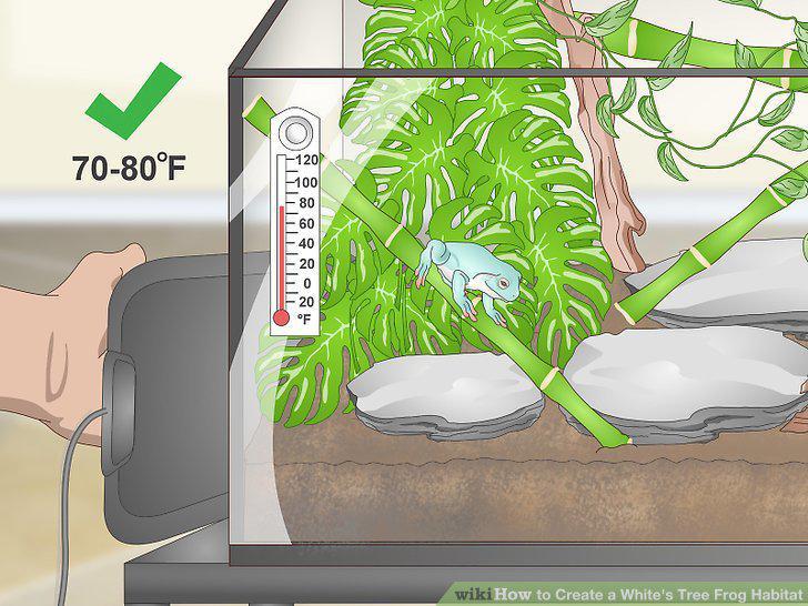 Step 16